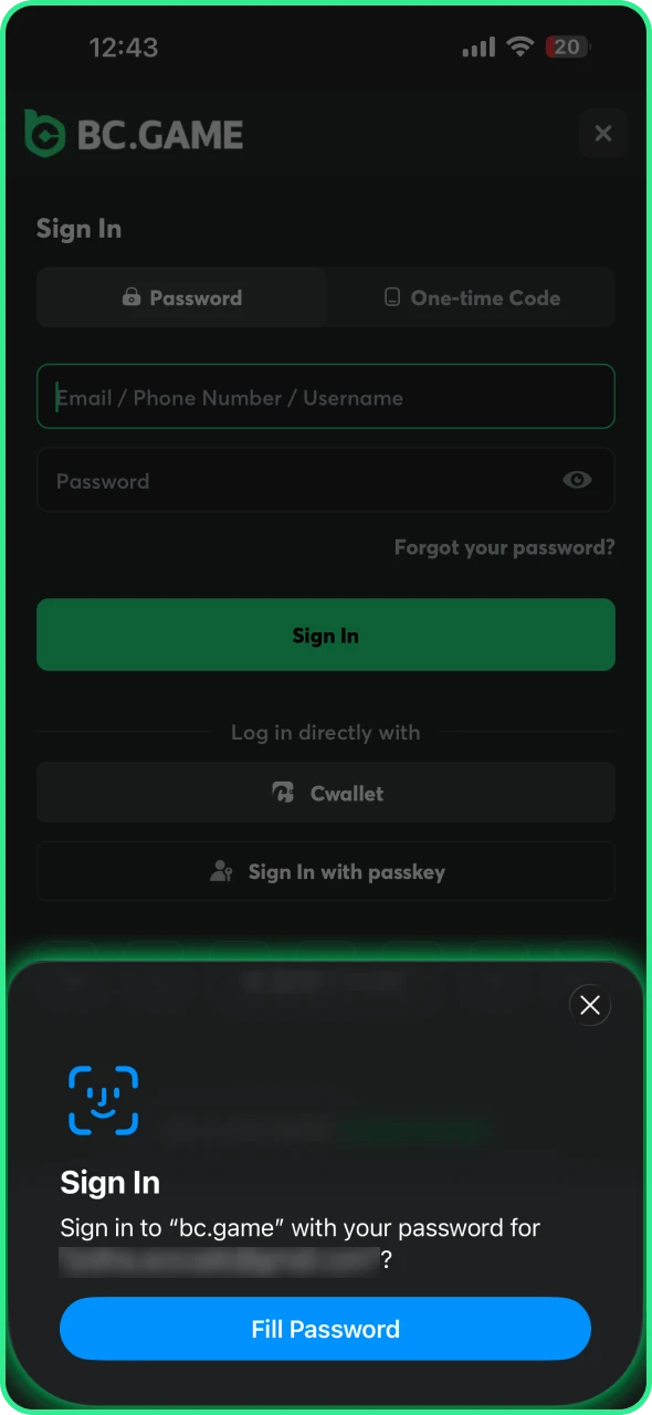 Log into your BC Game account using required details.